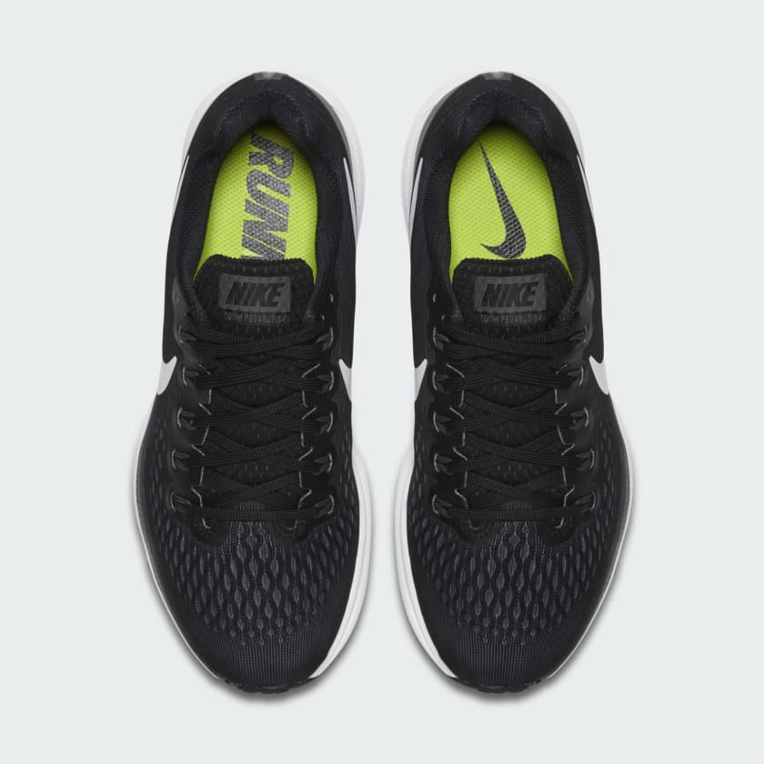 Pegasus 34 online