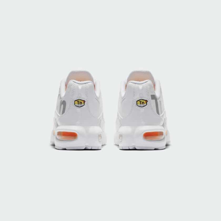 Nike Juniors Air Max Plus Tn Special Edition AR0005 100