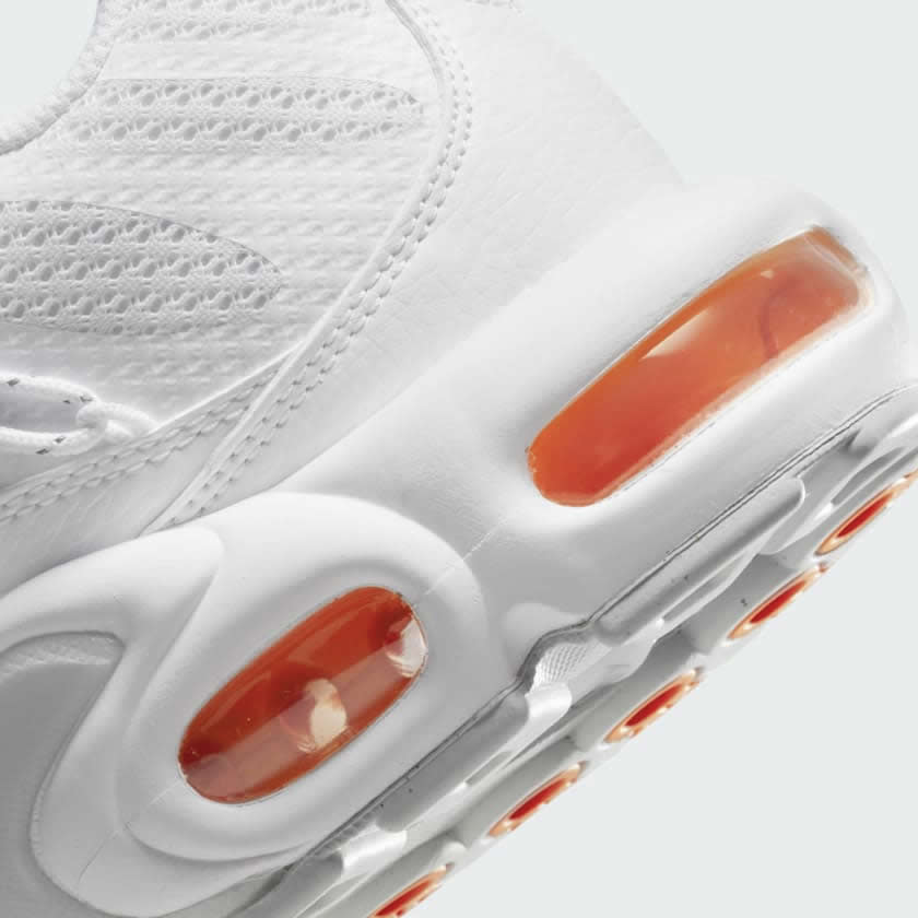 tradesports.co.uk Nike Men's Air Max Plus Utility FJ4232 100