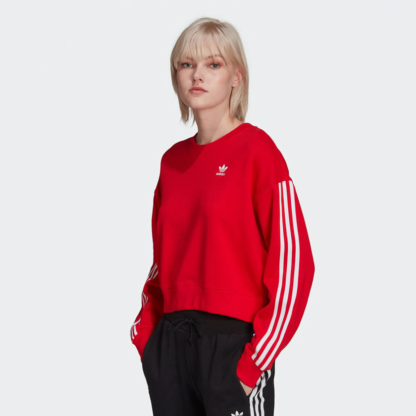 tradesports.co.uk Adidas Women's Adicolor Sweater HC2063